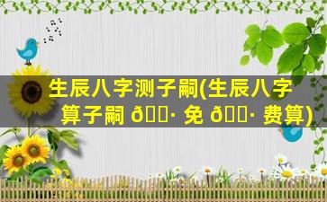 生辰八字测子嗣(生辰八字算子嗣 🕷 免 🌷 费算)